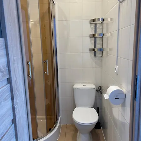 Guest house Feniks 3*