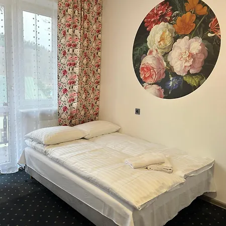 Feniks Guest house Krynica Zdroj